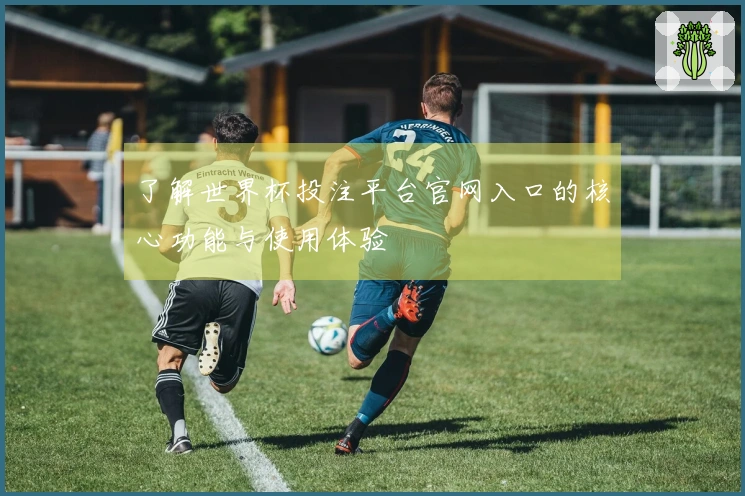 了解世界杯投注平台官网入口的核心功能与使用体验