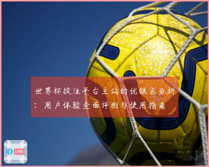 世界杯投注平台主站的优缺点分析：用户体验全面评测与使用指南