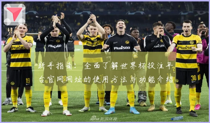 新手指南：全面了解世界杯投注平台官网网址的使用方法与功能介绍