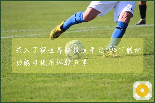 深入了解世界杯投注平台iOS下载的功能与使用体验分享
