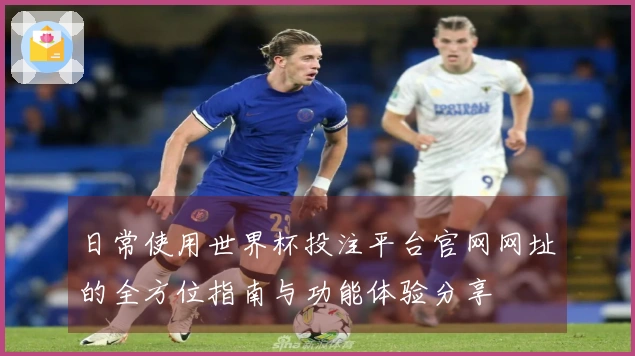日常使用世界杯投注平台官网网址的全方位指南与功能体验分享