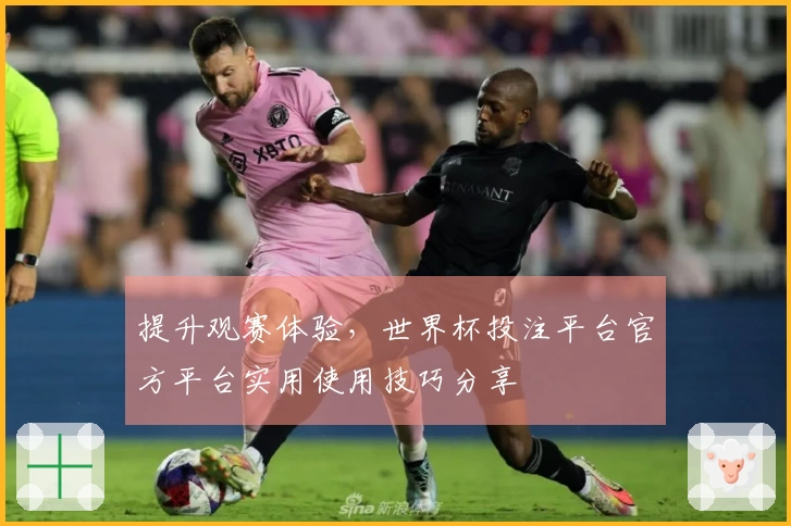 提升观赛体验，世界杯投注平台官方平台实用使用技巧分享