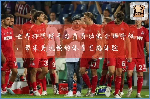 世界杯买球平台首页功能全面升级，带来更流畅的体育直播体验