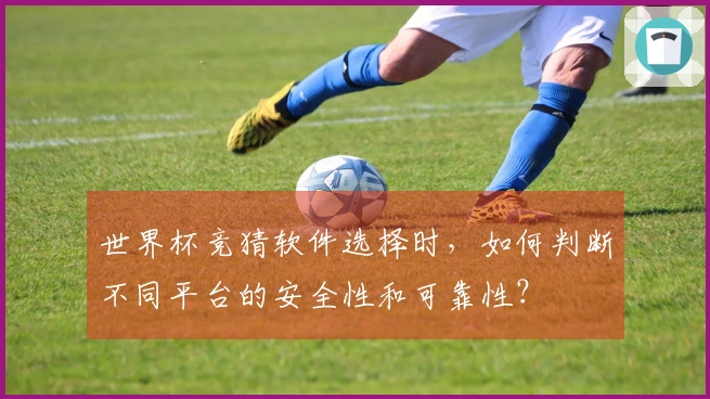 世界杯竞猜软件选择时,如何判断不同平台的安全性和可靠性?
