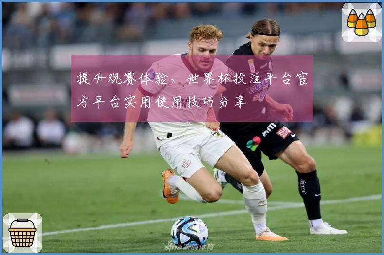 提升观赛体验，世界杯投注平台官方平台实用使用技巧分享
