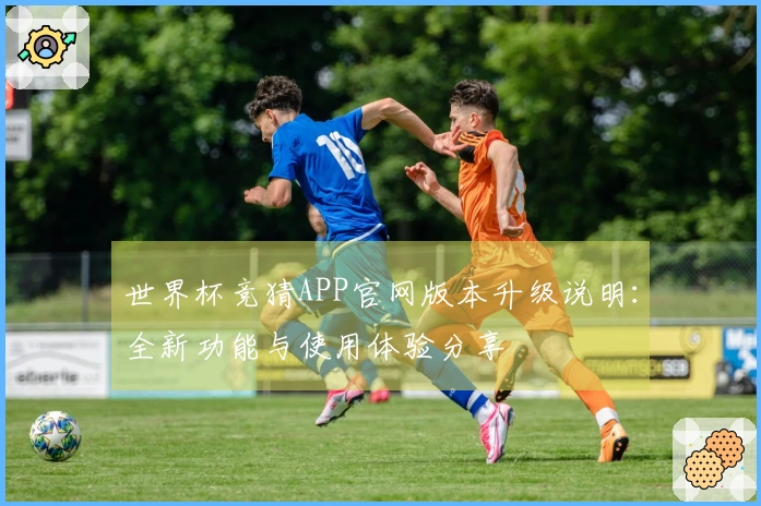 世界杯竞猜APP官网版本升级说明：全新功能与使用体验分享