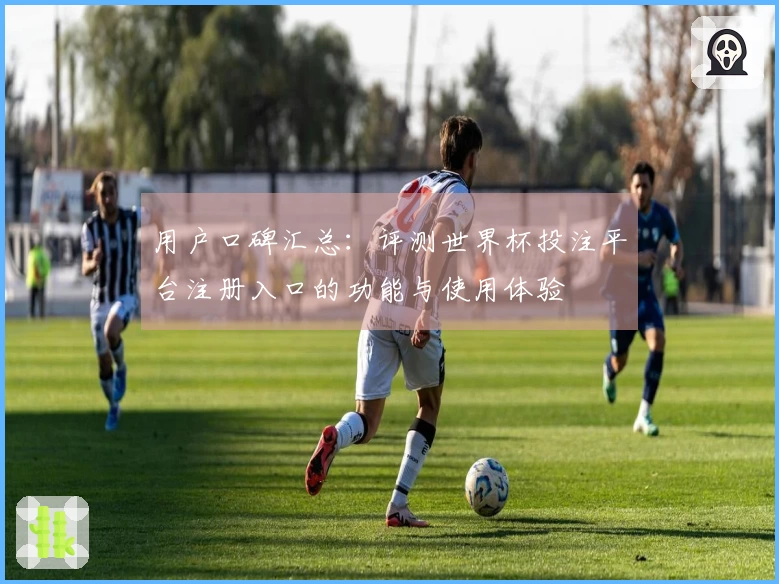 用户口碑汇总：评测世界杯投注平台注册入口的功能与使用体验